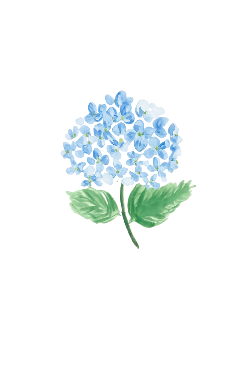 Left decorative image